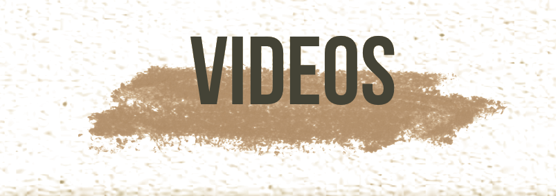 Videos — Morgan Wallen music videos